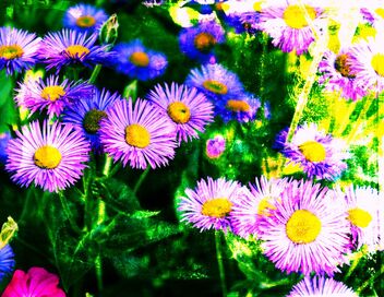 Joy comes in the morning - image #472081 gratis